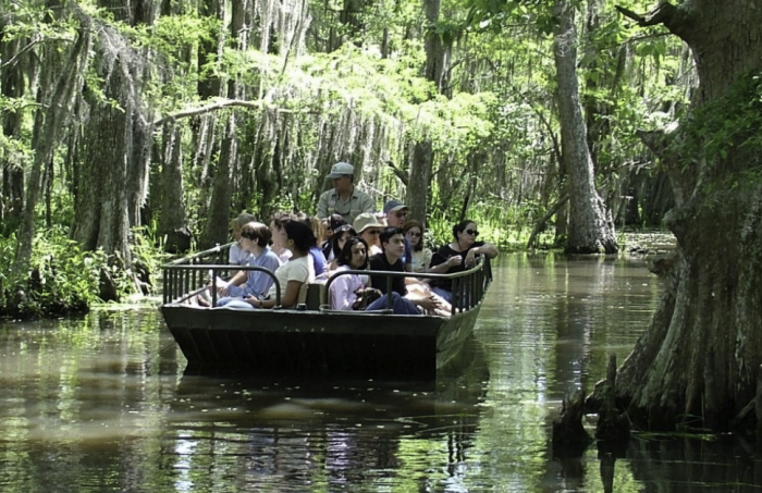 Honey Island Swamp