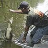 Cajun Pride Tours