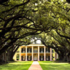 Gray Line Tours in New Orleans!