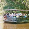 Jean Lafitte Swamp Tours