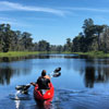 New Orleans Kayak Swamp Tours