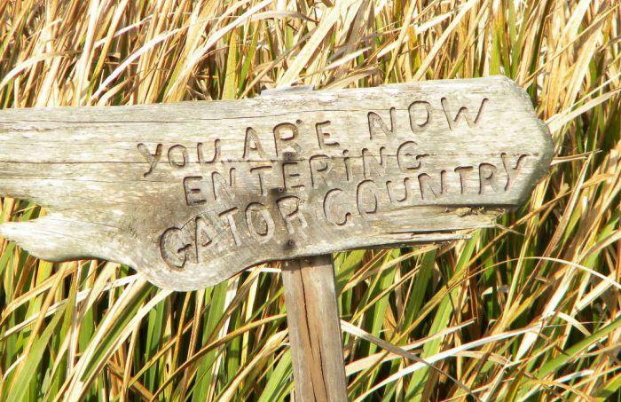 Jean Lafitte Swamp Tours