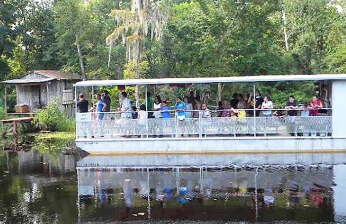 Jean Lafitte Swamp Tours