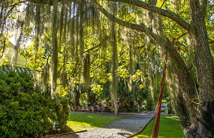 New Orleans Airboat Tours, LLC