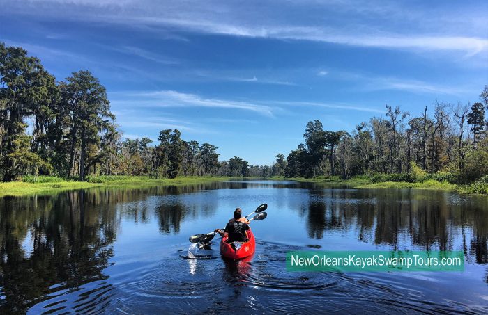 New Orleans Kayak Swamp Tours